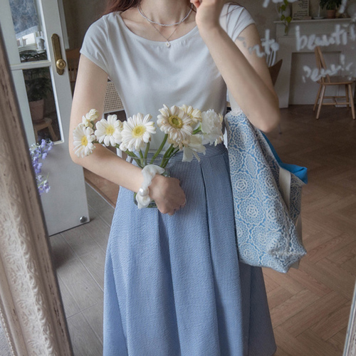 Anshuria无花季节包