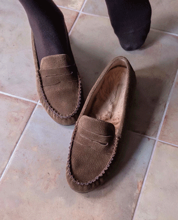 Product Thumbnail Product Thumbnail