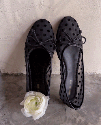 Product Thumbnail Product Thumbnail